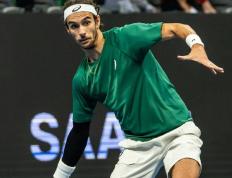 IM体育App下载-戴维斯杯翻盘美网，德约科维奇惊艳四座的简单介绍