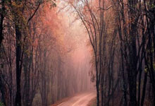 IM体育社区互动入口-莱比锡红牛强势拿下加拿大，弗拉霍维奇成关键先生，一场战术与意志的胜利