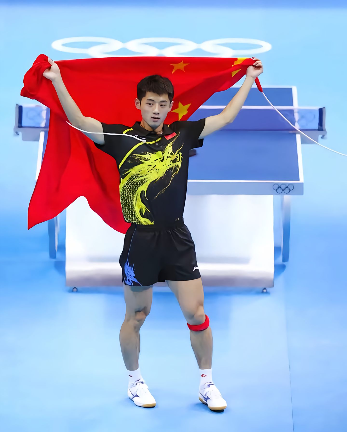 IM体育社区互动入口-关于瑞典乒乓球队力克比利时乒乓球队，张继科高光表现的信息